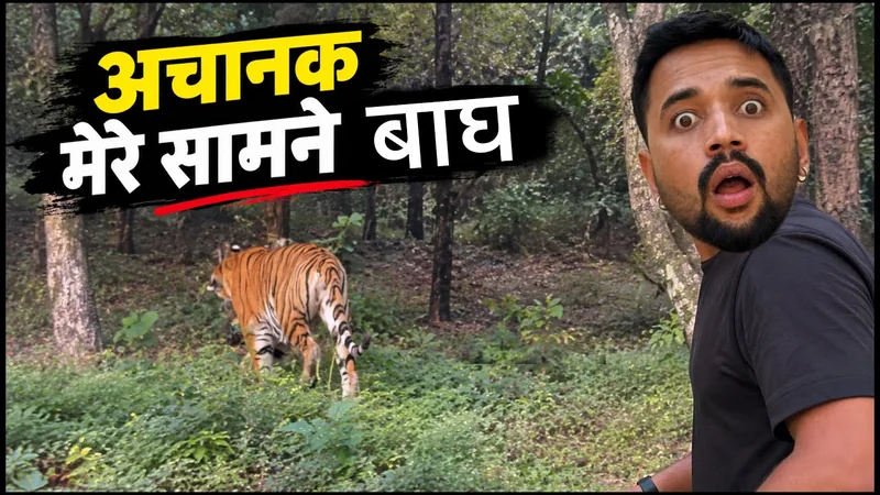 इतने करीब बाघ देखकर मेरे होश उड़ गए | Bhopal MP का हैरान कर देने वाला नजारा